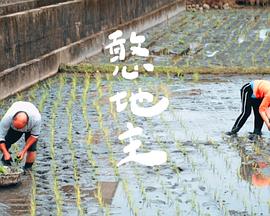 憨地主 憨地主