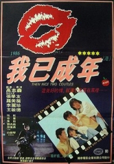 痴心的我国语