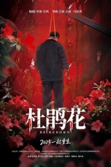 杜鹃花 杜鹃花