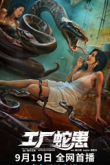 工厂蛇患 工厂蛇患
