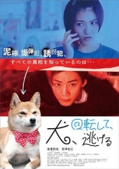 狗转了一圈逃跑了