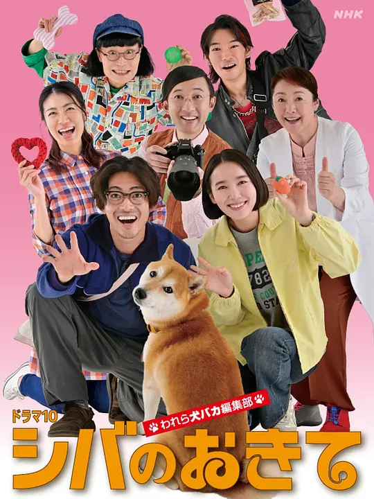 柴犬的规矩~我们这群狗痴编辑部~ 柴犬的规矩~我们这群狗痴编辑部~