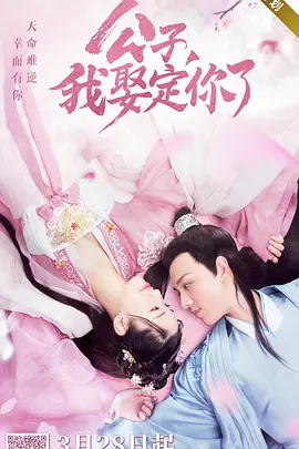 公子,我娶定你了第一季 公子,我娶定你了第一季