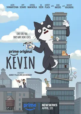 小猫凯文 小猫凯文