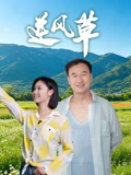 逆风草 逆风草