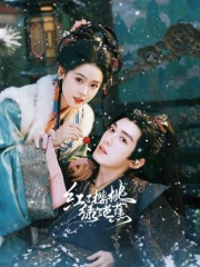 红了樱桃绿了芭蕉 红了樱桃绿了芭蕉